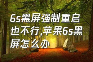 6s黑屏强制重启也不行（苹果6s黑屏怎么办）