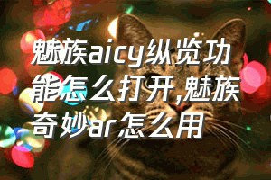 魅族aicy纵览功能怎么打开（魅族奇妙ar怎么用）