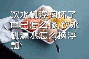 饮水机浮阀坏了自己怎么修（饮水机漏水怎么换浮瓢）