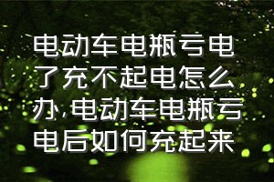 电动车电瓶亏电了充不起电怎么办（电动车电瓶亏电后如何充起来）