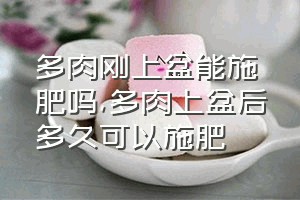 多肉刚上盆能施肥吗（多肉上盆后多久可以施肥）