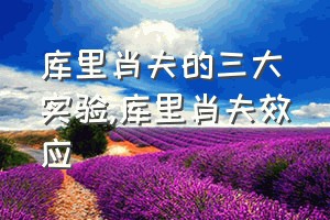 库里肖夫的三大实验（库里肖夫效应）