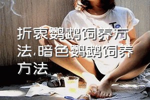 折衷鹦鹉饲养方法（暗色鹦鹉饲养方法）