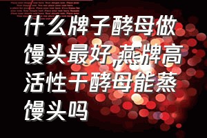 什么牌子酵母做馒头最好（燕牌高活性干酵母能蒸馒头吗）