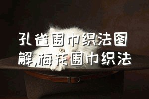 孔雀围巾织法图解（梅花围巾织法）