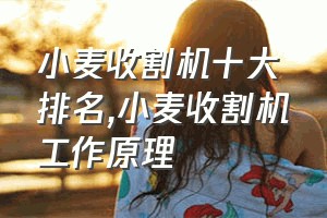 小麦收割机十大排名（小麦收割机工作原理）