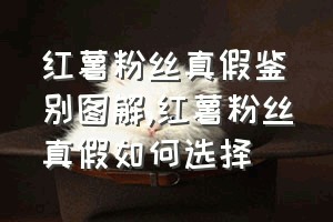 红薯粉丝真假鉴别图解（红薯粉丝真假如何选择）