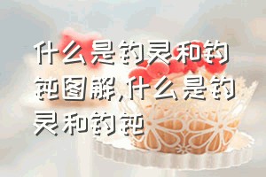 什么是钓灵和钓钝图解（什么是钓灵和钓钝）