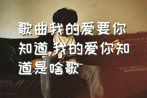 歌曲我的爱要你知道（我的爱你知道是啥歌）