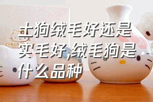 土狗绒毛好还是实毛好（绒毛狗是什么品种）