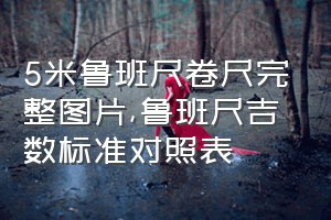 5米鲁班尺卷尺完整图片（鲁班尺吉数标准对照表）