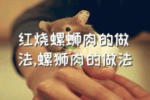 红烧螺蛳肉的做法（螺狮肉的做法）