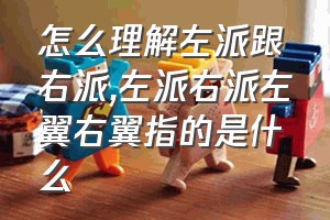 怎么理解左派跟右派（左派右派左翼右翼指的是什么）