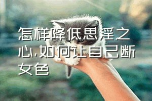 怎样降低思淫之心（如何让自己断女色）