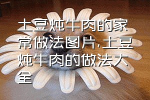 土豆炖牛肉的家常做法图片（土豆炖牛肉的做法大全）