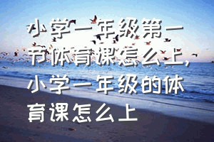 小学一年级第一节体育课怎么上（小学一年级的体育课怎么上）