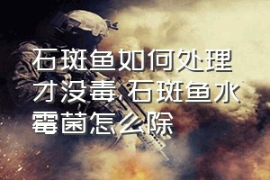 石斑鱼如何处理才没毒（石斑鱼水霉菌怎么除）