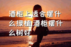 酒柜上适合摆什么绿植（酒柜摆什么树好）