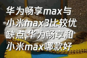 华为畅享max与小米max3比较优缺点（华为畅享和小米max哪款好）