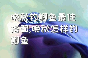 晚秋钓鲫鱼最佳搭配（晚秋怎样钓鲫鱼）