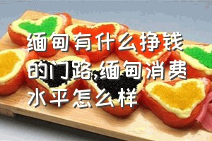 缅甸有什么挣钱的门路（缅甸消费水平怎么样）