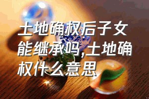 土地确权后子女能继承吗（土地确权什么意思）