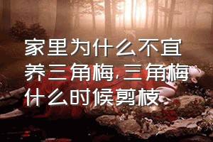 家里为什么不宜养三角梅（三角梅什么时候剪枝）