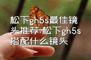 松下gh5s最佳镜头推荐（松下gh5s搭配什么镜头）