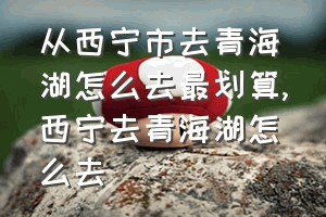 从西宁市去青海湖怎么去最划算（西宁去青海湖怎么去）