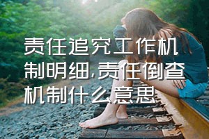 责任追究工作机制明细（责任倒查机制什么意思）