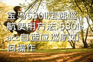 宝马530li定速巡航使用方法（530leacc自适应巡航如何操作）