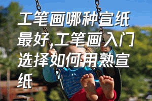 工笔画哪种宣纸最好（工笔画入门选择如何用熟宣纸）