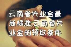 云南省失业金最新标准（云南省失业金的领取条件）