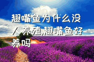 翘嘴鱼为什么没人养殖（翘嘴鱼好养吗）