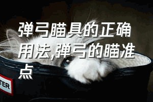 弹弓瞄具的正确用法（弹弓的瞄准点）