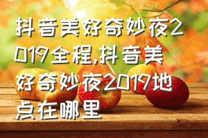 抖音美好奇妙夜2019全程（抖音美好奇妙夜2019地点在哪里）