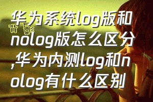 华为系统log版和nolog版怎么区分（华为内测log和nolog有什么区别）