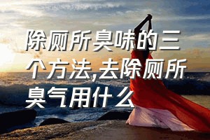 除厕所臭味的三个方法（去除厕所臭气用什么）