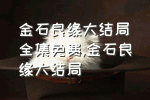 金石良缘大结局全集免费（金石良缘大结局）