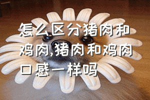 怎么区分猪肉和鸡肉（猪肉和鸡肉口感一样吗）