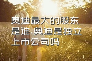 奥迪最大的股东是谁（奥迪是独立上市公司吗）