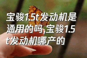 宝骏1.5t发动机是通用的吗（宝骏1.5t发动机哪产的）