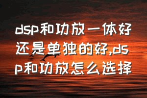 dsp和功放一体好还是单独的好（dsp和功放怎么选择）