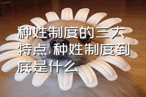 种姓制度的三大特点（种姓制度到底是什么）