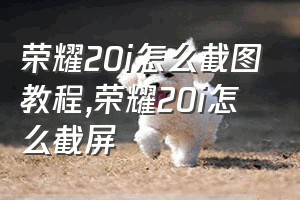 荣耀20i怎么截图教程（荣耀20i怎么截屏）