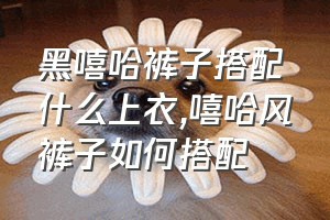 黑嘻哈裤子搭配什么上衣（嘻哈风裤子如何搭配）