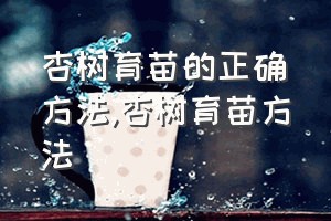 杏树育苗的正确方法（杏树育苗方法）