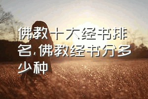 佛教十大经书排名（佛教经书分多少种）