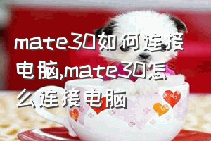 mate30如何连接电脑（mate30怎么连接电脑）