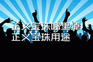 正义宝珠哪里掉（正义宝珠用途）